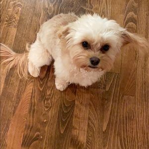 Meet your Posher, Nancy